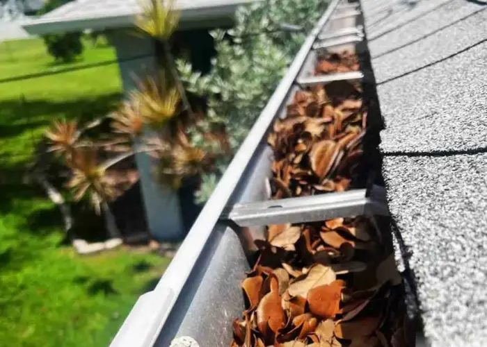 Essex Fells gutter cleaning home page